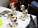 Heimtiermesse 2009   032